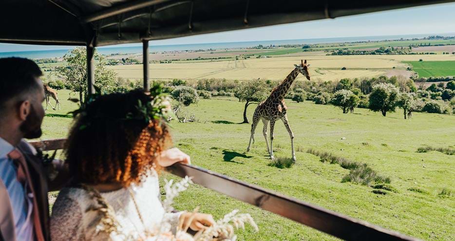 Rebecca Carpenter Photography at Port Lympne Hotel & Reserve