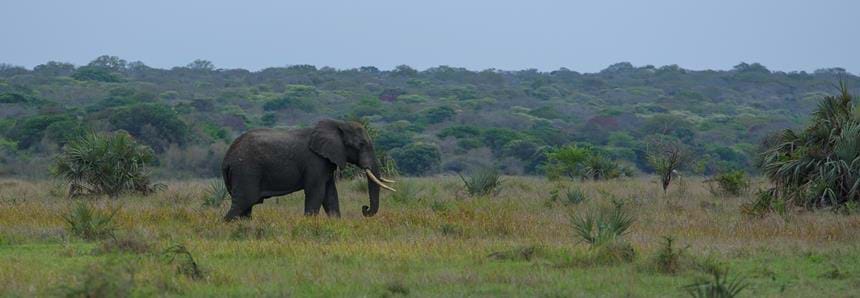 Kirsten Oliver 2020-8522.jpg