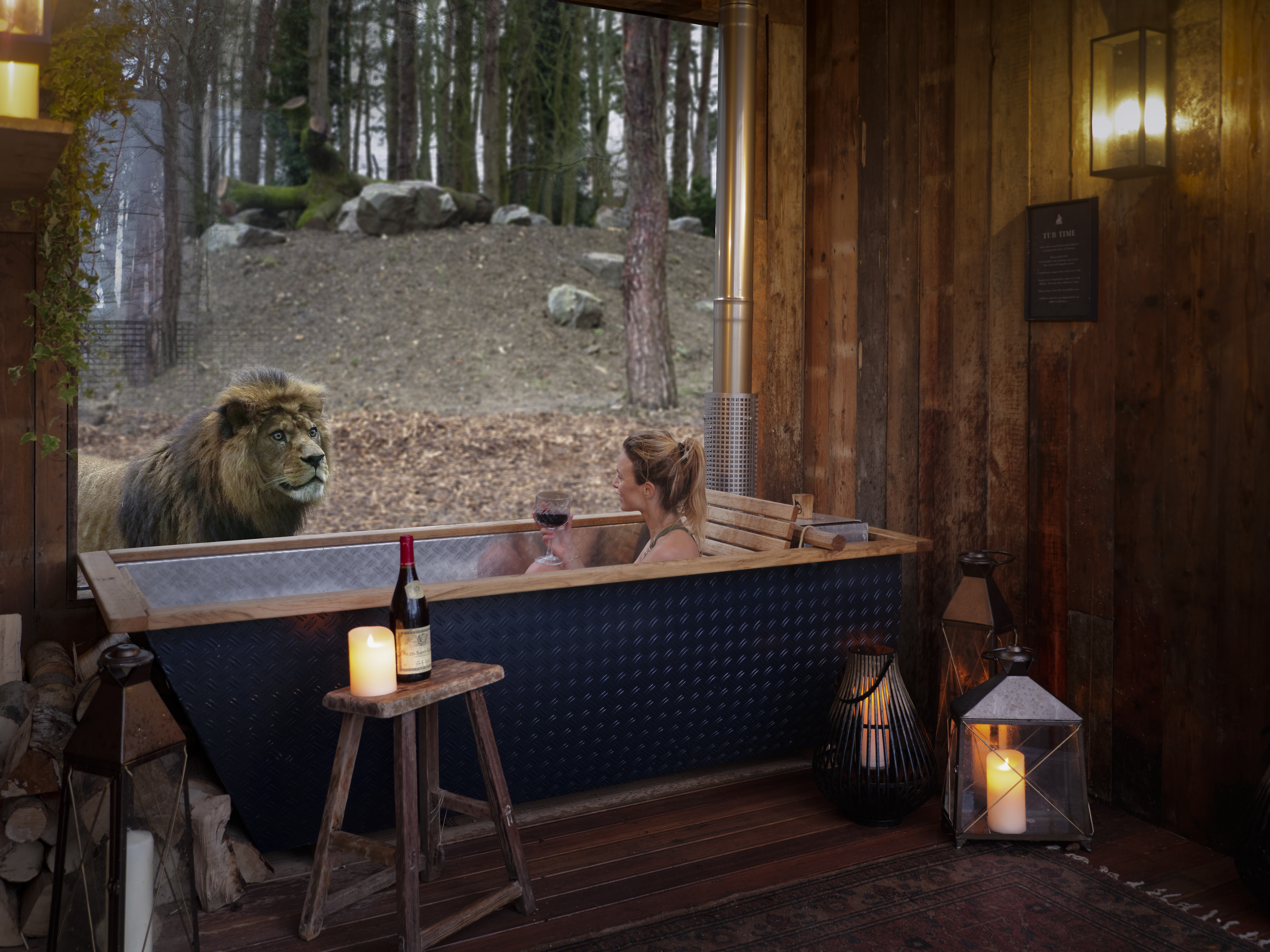 Live with Wildlife at the Port Lympne Safari Park [Where to Stay]
