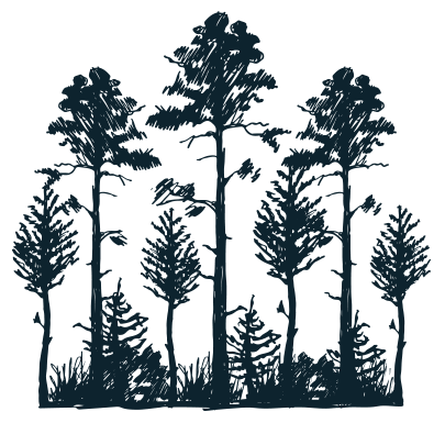 forest hideaway illustration