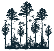 forest hideaway illustration