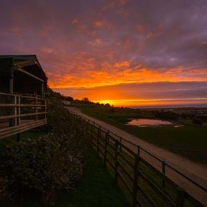 Giraffe Lodge at sunset at Port Lympne Hotel & Reserve in Kent