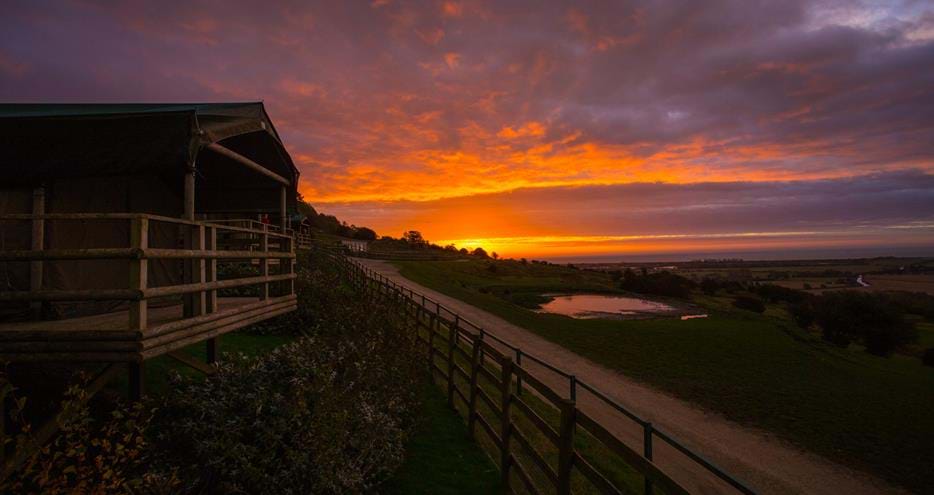 Giraffe Lodge at sunset at Port Lympne Hotel & Reserve in Kent