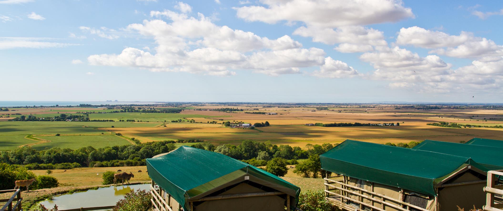 Port Lympne Safari Park, Wild Animal Reserve, and hotel