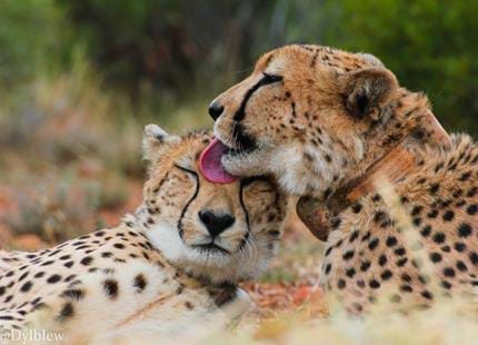 PHOTO-2020-10-30-14-31-38 (2).jpg