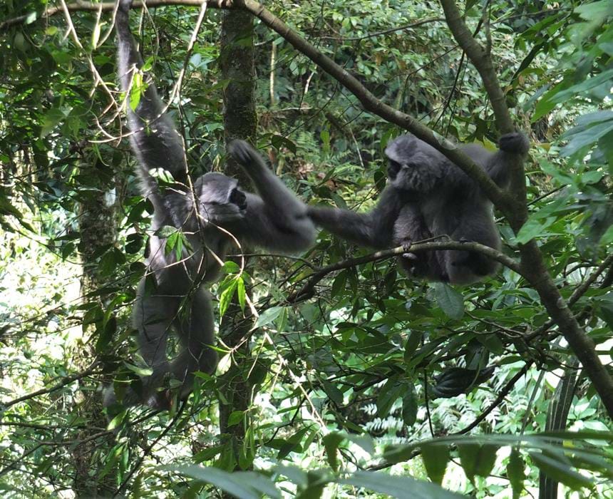 Yetuk qishloq rus ayollari bilan jinsiy aloqa Transseksuallar, transvestitlar, ladyboylar, shemallar