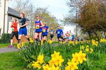 Find A Local Run