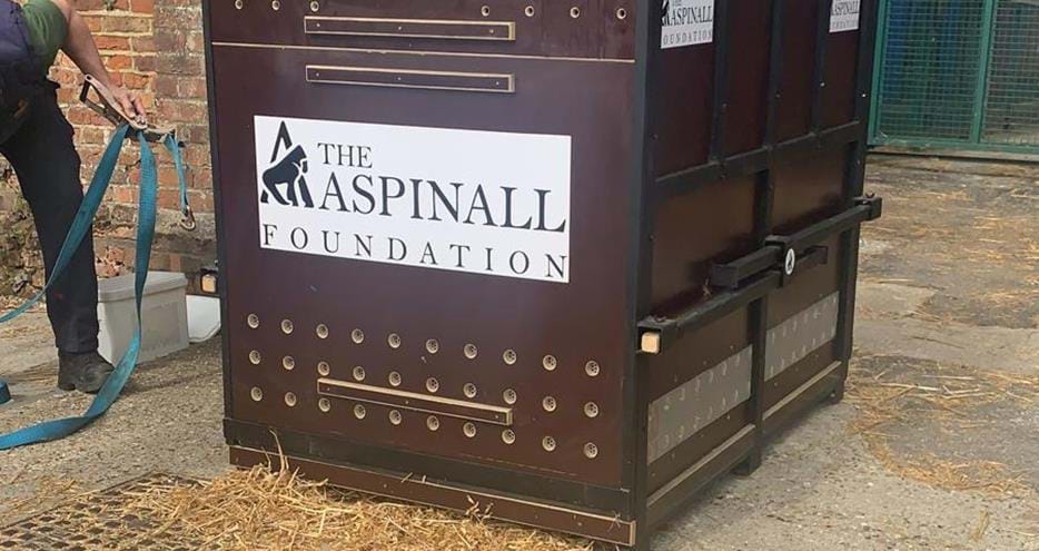 Joshi is secured in his travel crate ready for the journey to the wild.