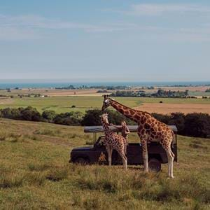 Facilities at Port Lympne Hotel & Reserve wedding venue in Kent, UK