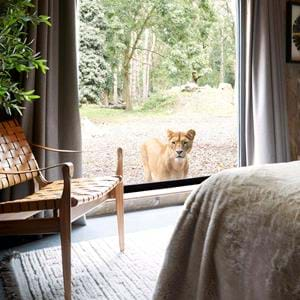 Lion Lodge at Port Lympne Hotel & Reserve in Kent, UK