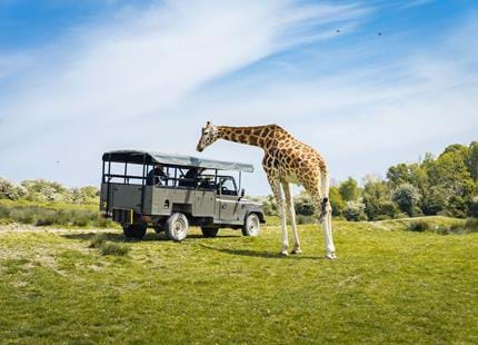 Safari experiences at Port Lympne Hotel & Reserve filming location in Kent