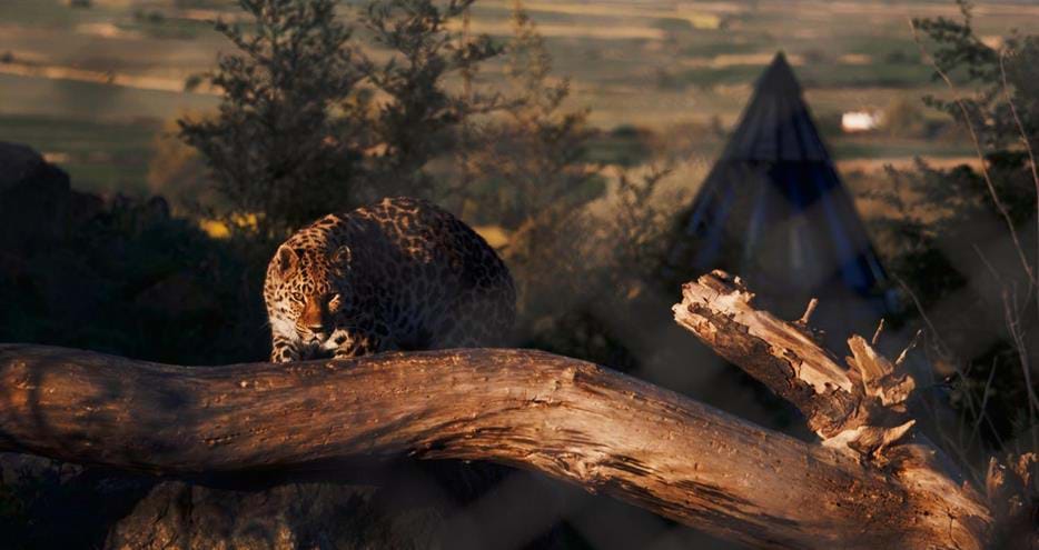 Leopard Creek Wigwam at Port Lympne Hotel & Reserve in Kent