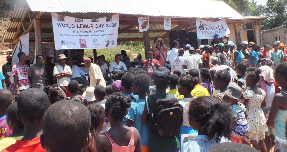 World Lemur Day 2020 Andrananely