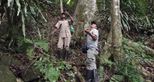 Andriantantely lemur monitoring by transects