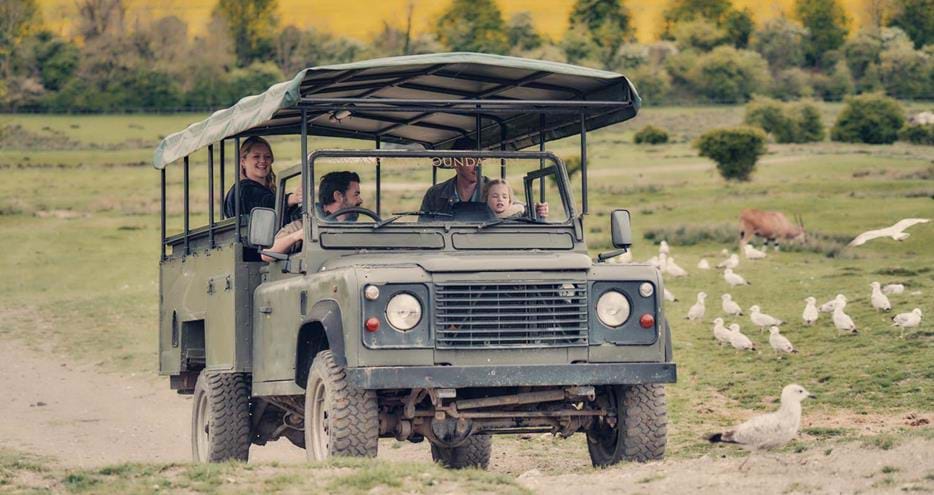 Ranger's Tour at Port Lympne Hotel & Reserve, near Ashford