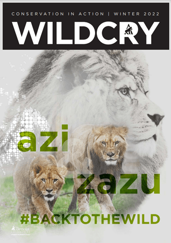 Wildcry front page