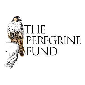 The-Peregrine-Fund.png