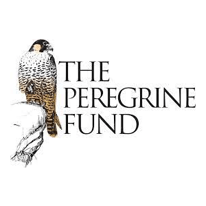 The-Peregrine-Fund.png