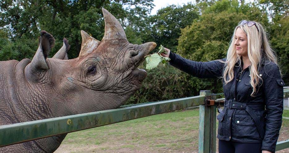 Feed a rhino at Port Lympne Hotel & Reserve in Kent