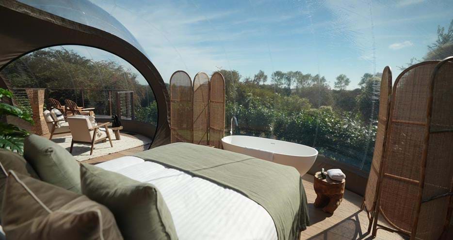 The view from the Lookout Bubble glamping accommodation at Port Lympne Reserve in Kent