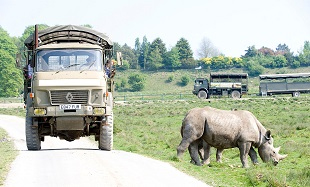 drive through safari kent