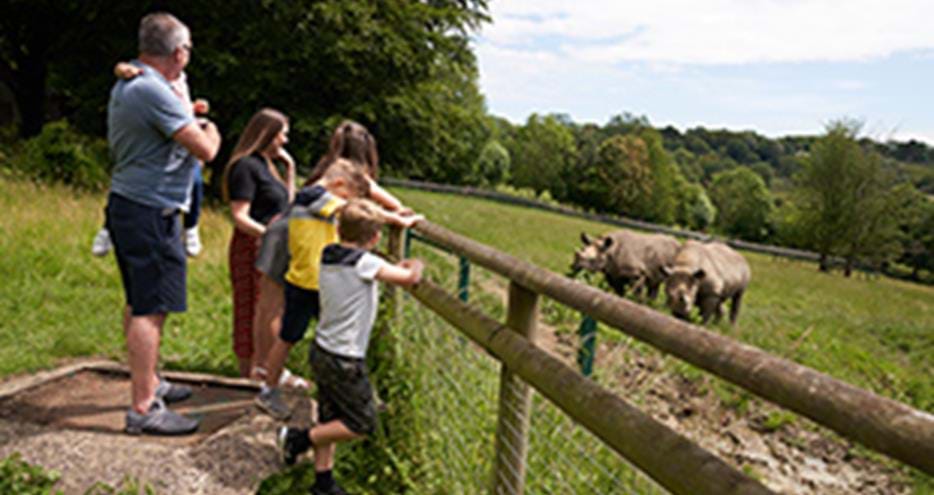 An adult and a group of childre on a School trip safari at Port Lympne Hotel & Reserve in Kent look at some rhinos in a field