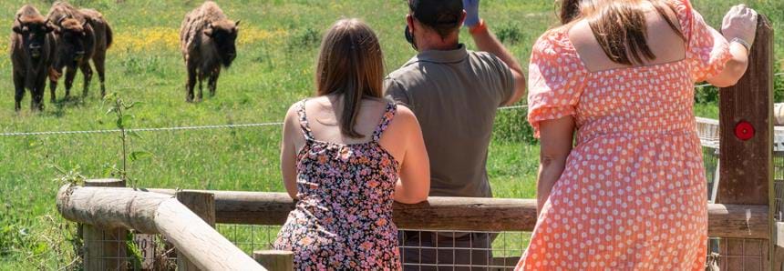 Port Lympne Experience Day 14.06.21-244.jpg
