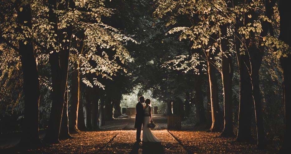 Newlyweds on the Lime Walk at Port Lympne Hotel and Reserve wedding venue in Kent