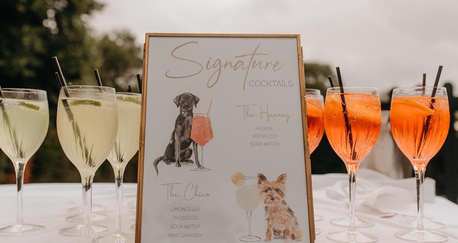 Wedding reception drinks at Port Lympne Hotel & Reserve in Kent