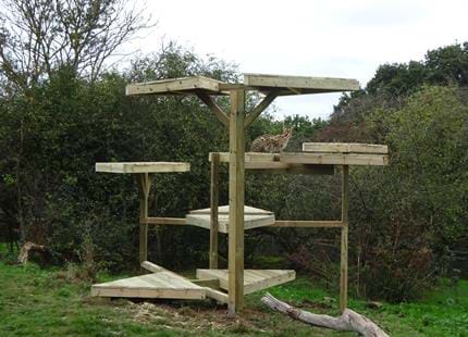 Team Building With BITE at Port Lympne Hotel & Reserve in Kent