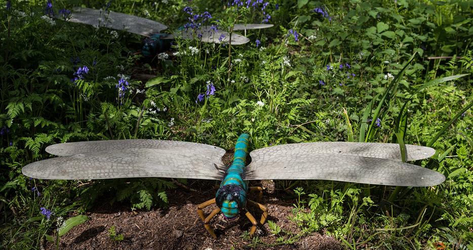Meganeura in Dinosaur Forest at Port Lympne Hotel & Reserve in Kent