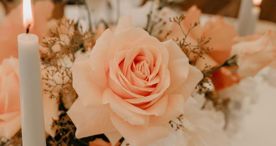 Celebration of Life at Port Lympne Hotel & Reserve event venue in Kent