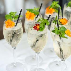Wedding cocktails at Port Lympne Hotel & Reserve in Kent