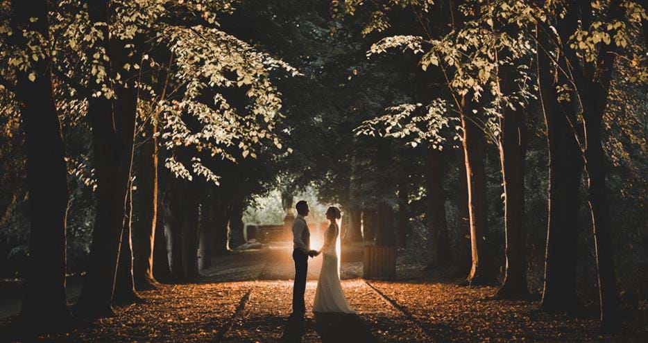 Newlyweds on the Lime Walk at Port Lympne Hotel and Reserve wedding venue in Kent