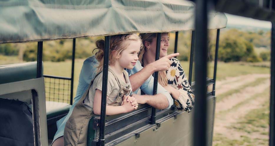 Ranger Safari at Port Lympne Hotel & Reserve in Kent