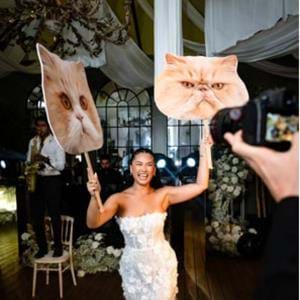 Pet placards at Port Lympne Hotel & Reserve wedding venue in Kent