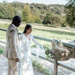 Bride & groom feed a rhino at Port Lympne Hotel & Reserve wedding venue in Kent