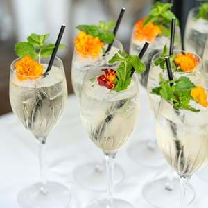 5. Serve Botanical cocktails at your Port Lympne Hotel Country Garden Wedding in Kent