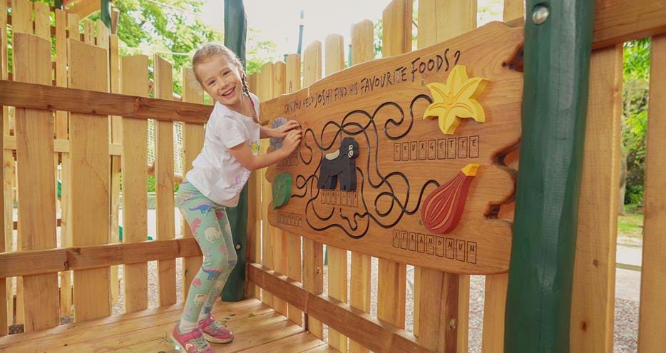 Solving the finger maze at Joshi's Jungle playground at Howletts Wild Animal Park in Kent