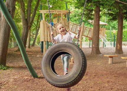 Tyre swing at Joshi's Jungle playground at Howletts Wild Animal Park in Kent