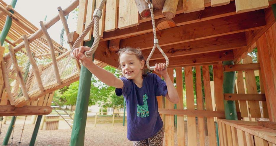 Trapeze handles at Joshi's Jungle playground at Howletts Wild Animal Park in Kent